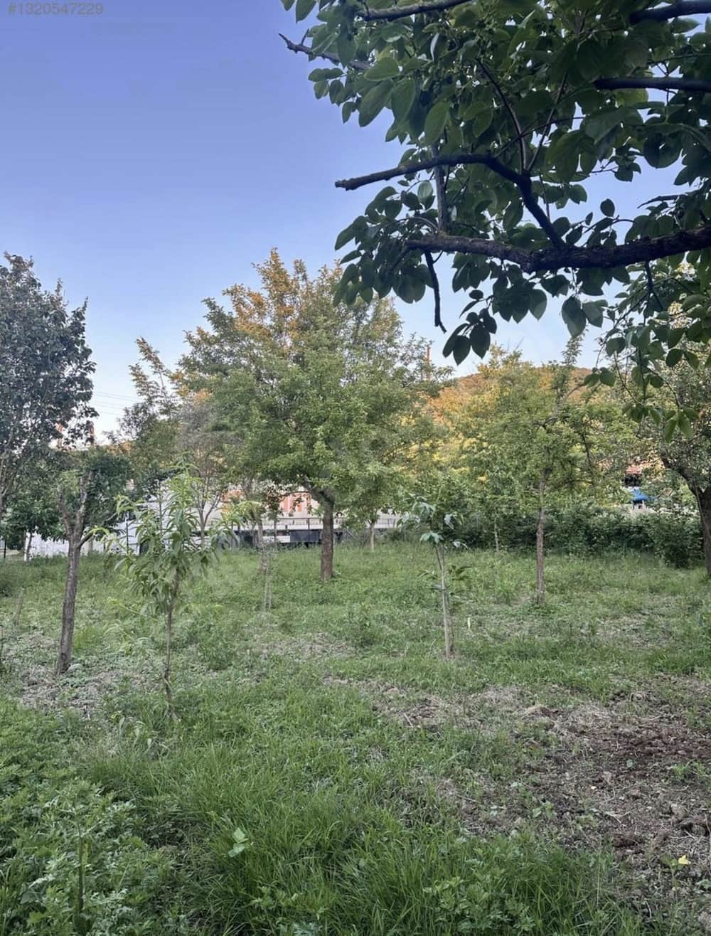 Kurtköy köyiçi imarlı satılık arsa - Sapanca